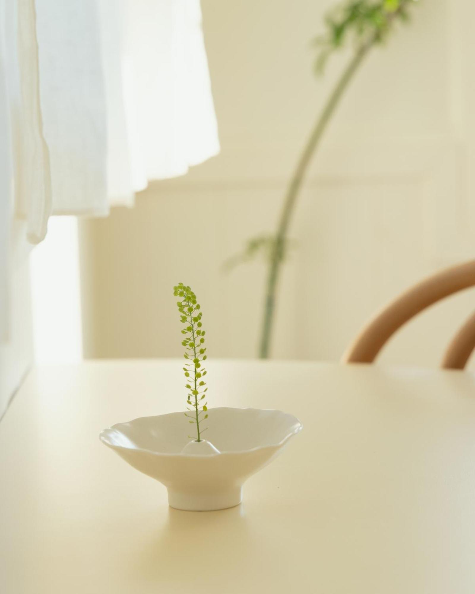 Soomhouse Renewal Open June 2024 タニャン エクステリア 写真